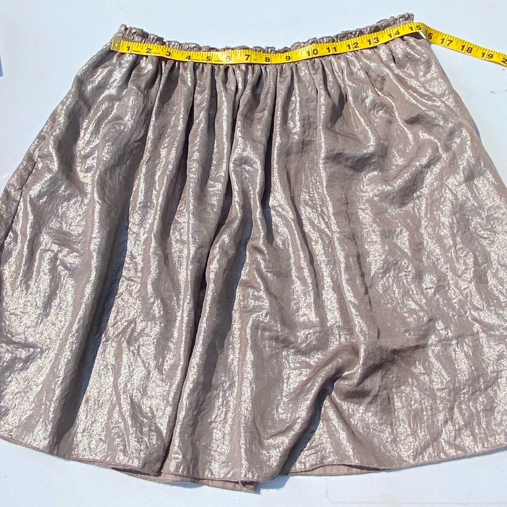Anthropologie Metallic Skirt